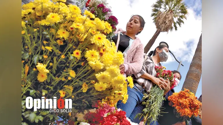 Floricultores en la Plaza 14 de Septiembre. / DICO SOL&Iacute;S