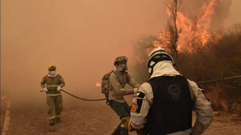 Bomberos combaten el fuego en el Parque Tunari. NO&Eacute; PORTUGAL