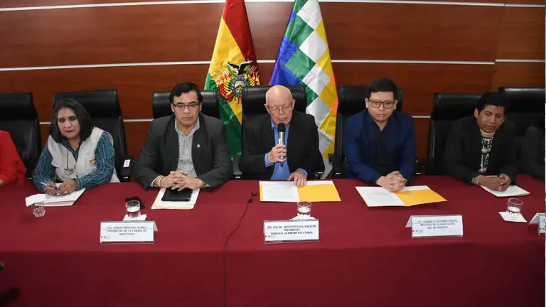 Gobierno, Legislativo y TSE garantizan la distribuci&oacute;n de esca&ntilde;os para los comicios del 2025./ APG