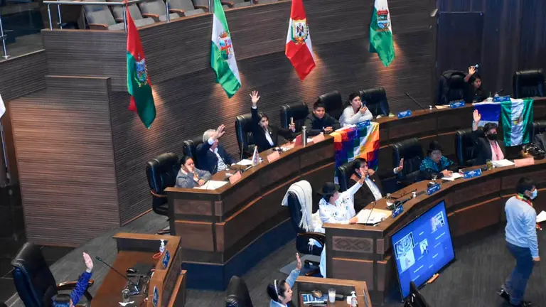 La C&aacute;mara de Senadores debatiendo. APG