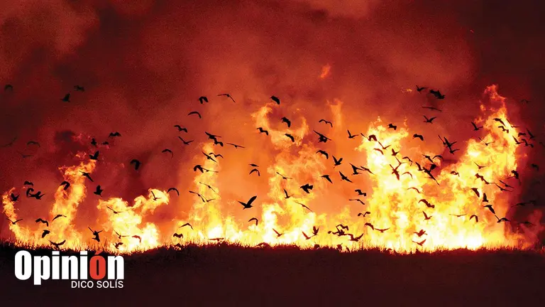 Imagen del incendio en Alalay que gan&oacute; el Premio 
Nacional de Periodismo. DICO SOL&Iacute;S