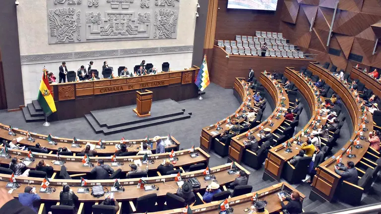 Diputados del MAS y de las otras fuerzas en la sesi&oacute;n en la que se aprob&oacute; la ley del censo. EFE