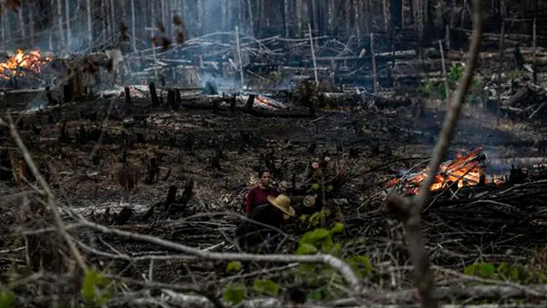 Sobre deforestaci&oacute;n en  la Amazon&iacute;a. EFE
