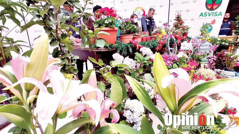 El lanzamiento de la Feria de Flores y Planta, este 6 de diciembre. NO&Eacute; PORTUGAL