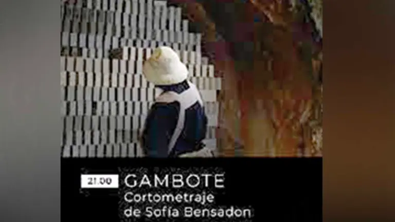 Una escena del audiovisual de Sofía Bensadon. NOELIA SANTILLÁN