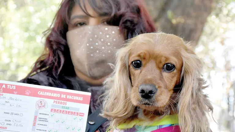 Una campa&ntilde;a de vacunaci&oacute;n anterior en la ciudad.            DICO SOL&Iacute;S