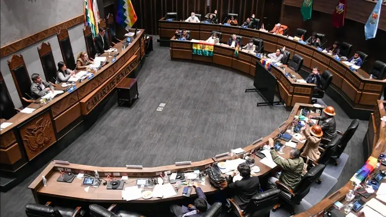 El pleno de la C&aacute;mara de Senadores durante el tratamiento del PGE 2023. C&Aacute;MARA DE SENADORES