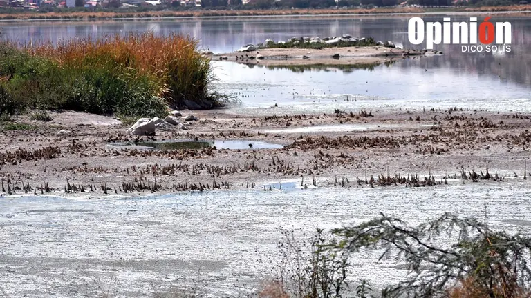 La laguna Alalay en d&iacute;as recientes. DICO SOL&Iacute;S