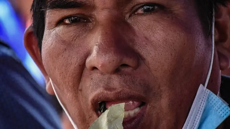 Un hombre se inserta una hoja de coca, en el D&iacute;a Nacional del Acullicu. DICO SOL&Iacute;S