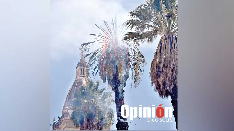 La palmera ardiendo en la plaza 14 de Septiembre. DICO SOL&Iacute;S