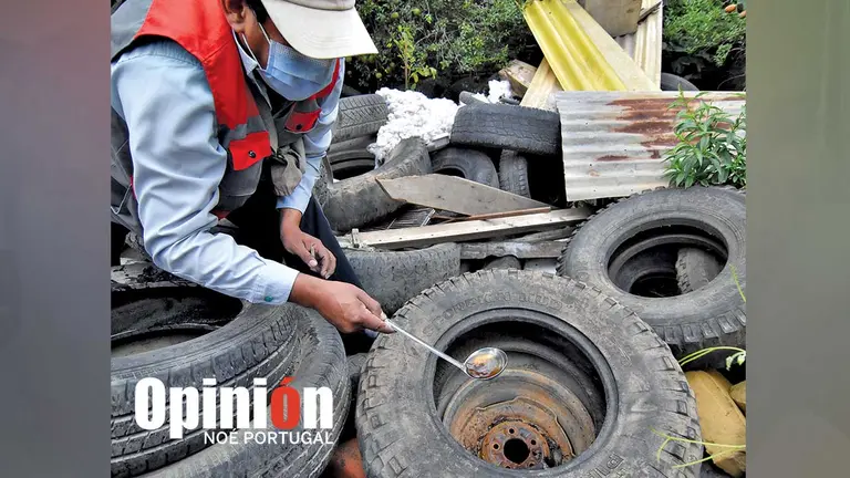 Inician acciones para combatir el dengue en la Llajta. NO&Eacute; PORTUGAL