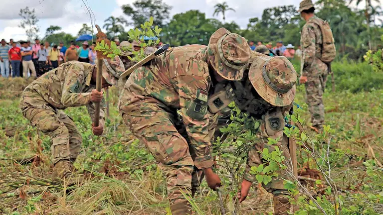 Soldados realizan erradicaci&oacute;n de cultivos ilegales de hoja de coca. EFE