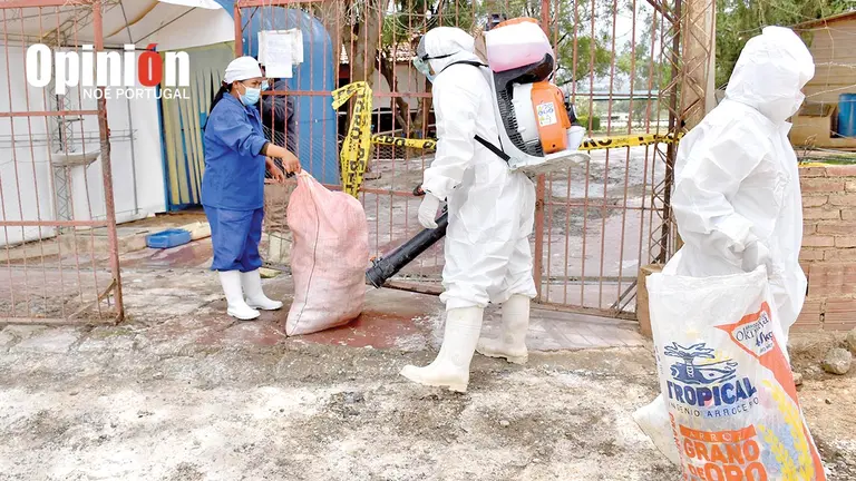 Encapsulamiento y desinfecci&oacute;n de granja av&iacute;cola con casos de gripe aviar en Sacaba. NO&Eacute; PORTUGAL