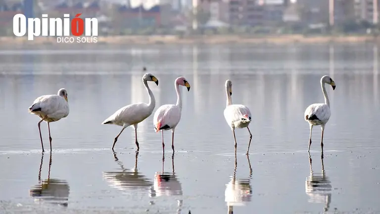 Imagen referencial de una laguna cochabambina. DICO SOL&Iacute;S