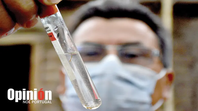 Operativo de destrucci&oacute;n de criaderos de mosquitos en la zona sur de Cochabamba./ NO&Eacute; PORTUGAL