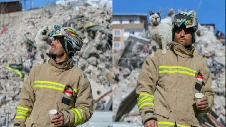 "Enkaz", un gatito rescatado en Turqu&iacute;a, que ahora no se separa de su salvador.