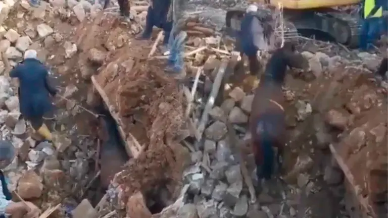 El caballo siendo rescatado por un grupo de voluntarios. RRSS