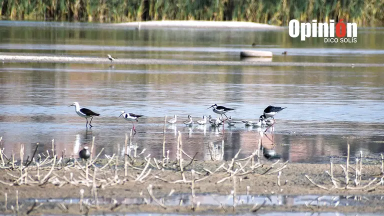 La laguna Alalay, en la zona sureste de la ciudad. DICO SOL&Iacute;S