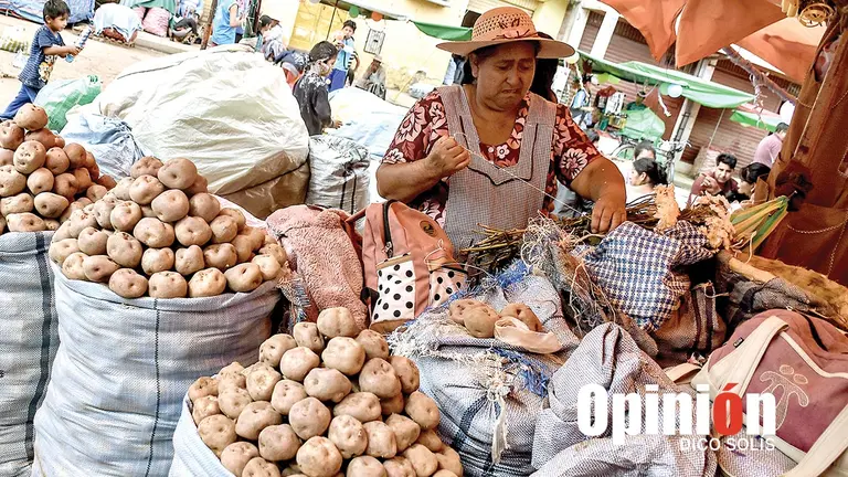 Venta de papa en un mercado de Cochabamba./ DICO SOL&Iacute;S