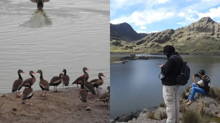 Actividades de monitoreo en lagunas y humedales. GADC