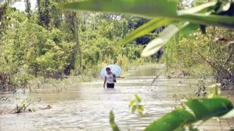 Una mujer camina por un sendero inundado en el Tr&oacute;pico de Cochabamba. ARCHIVO