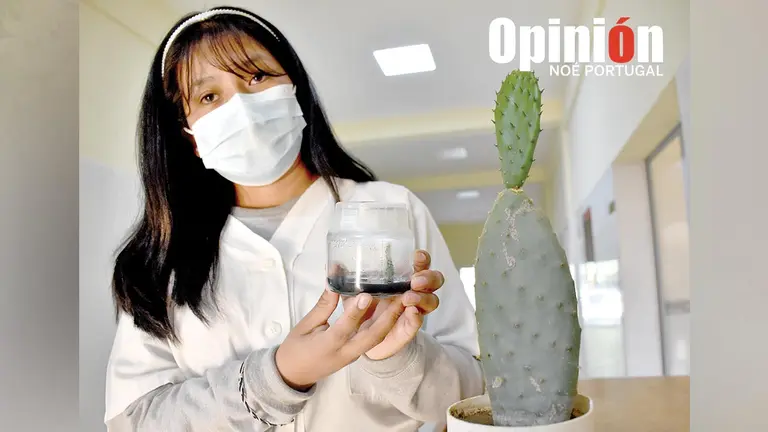 Muestra del trabajo de reproducci&oacute;n in vitro de la UMSS. NO&Eacute; PORTUGAL
