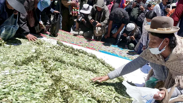Bolivianos productores de hoja de coca extienden hojas de coca sobre aguayos, en una fotografía de archivo. EFE