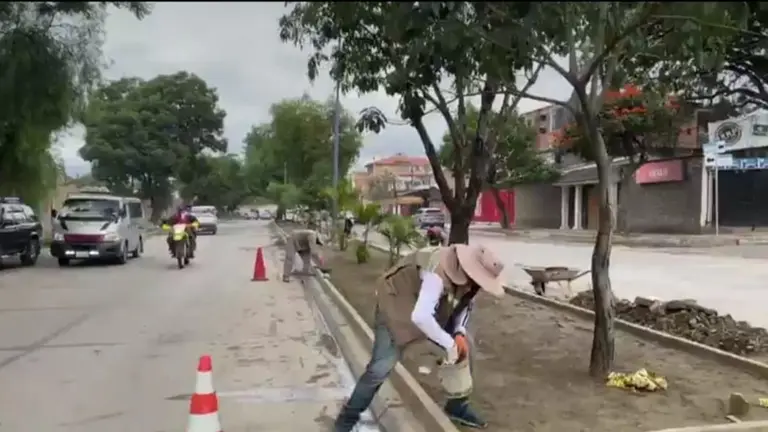 Personal de Emavra emplaza microbosques en jardineras de la zona norte. ALCALD&Iacute;A DE COCHABAMBA.