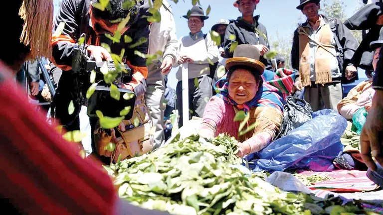 Varias personas participan del D&iacute;a del Acullico, el 11 de enero, en La Paz. ABI