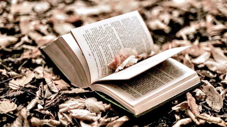 Un libro con composiciones po&eacute;ticas. ARCHIVO