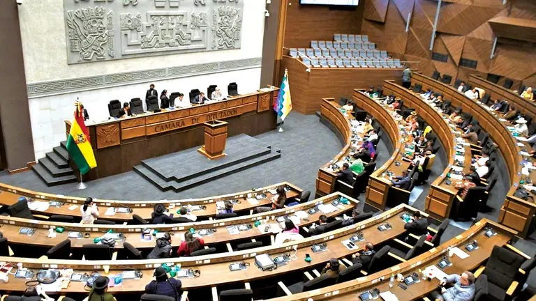 La Asamblea Legislativa Plurinacional, en sesi&oacute;n./ ABI