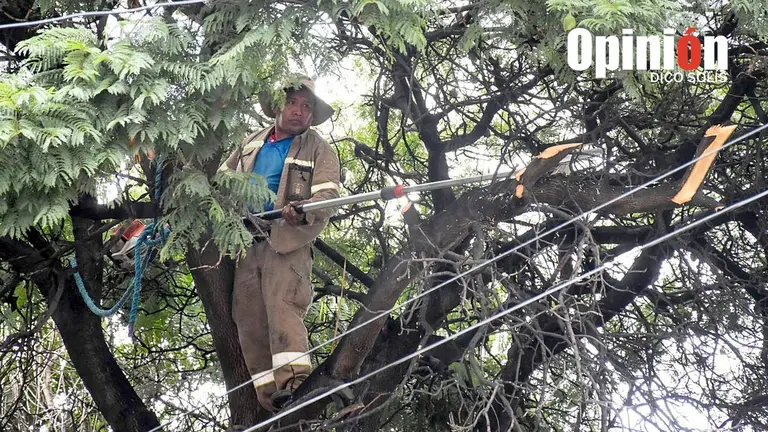 El trabajo de funcionarios de Emavra en la avenida Sim&oacute;n L&oacute;pez, el 23 de marzo./ DICO SOL&Iacute;S