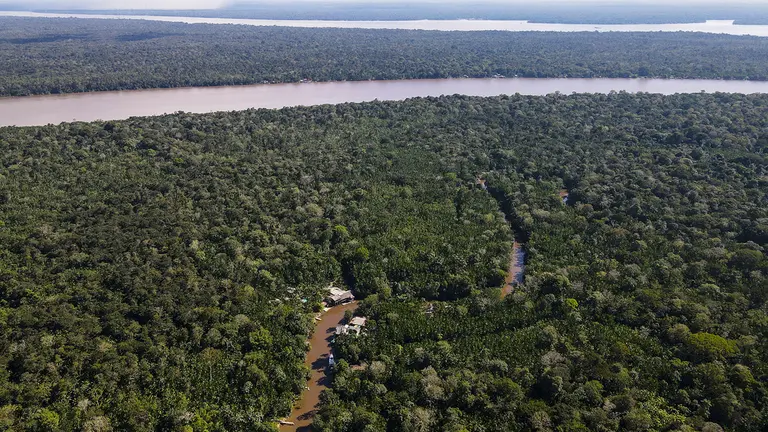 Vista a&eacute;rea del estado de Par&aacute;, considerado el lugar que m&aacute;s destruye./ EFE