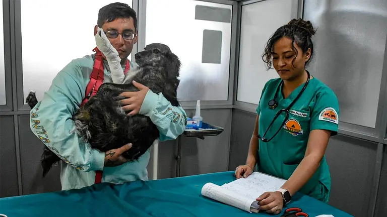 Veterinarios atienden a un can en el Hospital Veterinario Unitepc. DICO SOL&Iacute;S