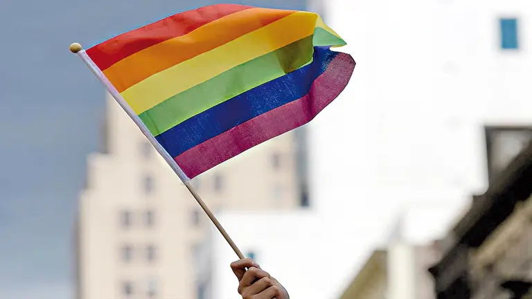 Bandera que representa a la comunidad LGBTI./ EFE