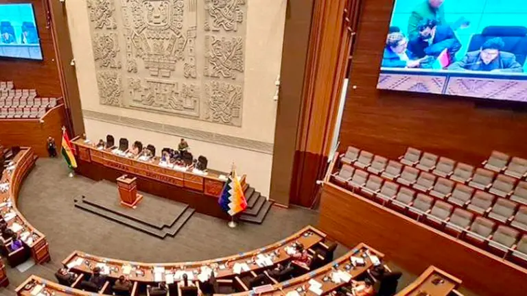La ALP retoma el tratamiento del nuevo reglamento y convocatoria para las elecciones judiciales./ OXIGENO.BO