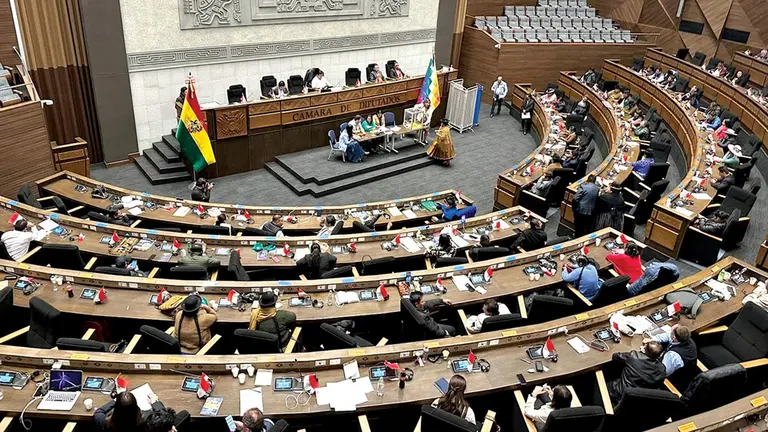 Sesi&oacute;n en la C&aacute;mara de Diputados./ ABI