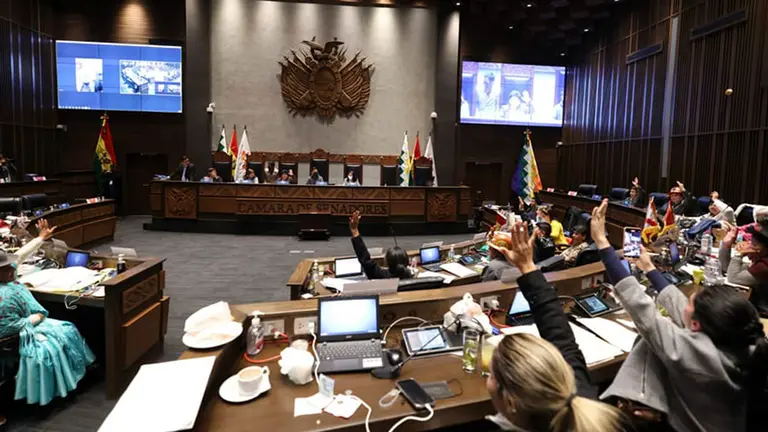 El pleno del Senado. TOMADA DE ERBOL