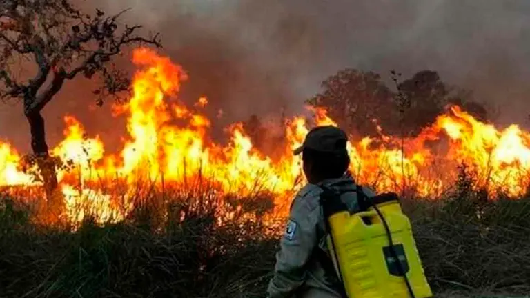 Un bombero frente a un incendio forestal./ ARCHIVO