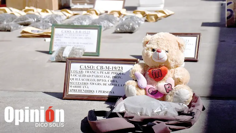El oso de peluche que ten&iacute;a en su interior semillas de marihuana./ DICO SOL&Iacute;S