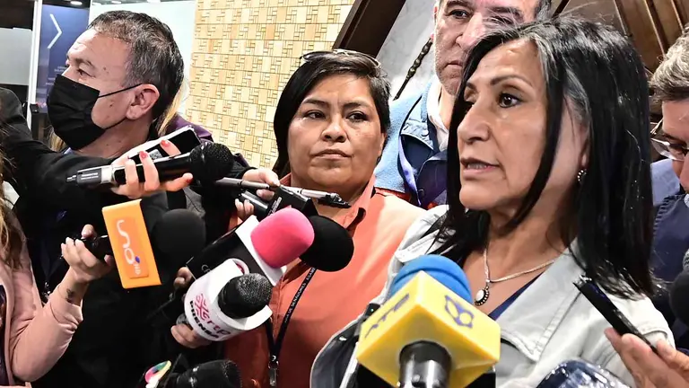 La representante de los periodistas bolivianos Zulema Alanes. Cr&eacute;dito: Franz Ch&aacute;vez &ndash; ANP