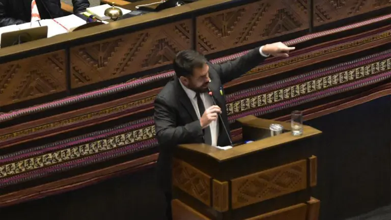 El ministro de Gobierno, Eduardo Del Castillo, en su interpelaci&oacute;n./ APG