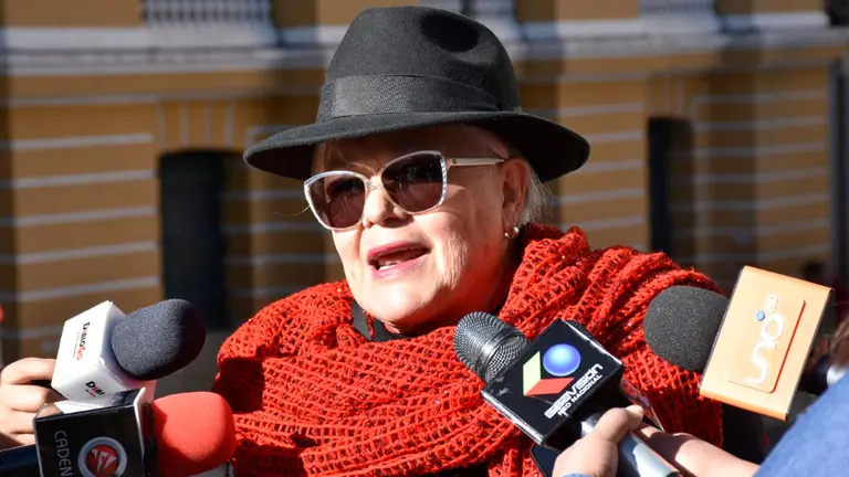 La senadora de Comunidad Ciudadana, Silvia Salame./ APG