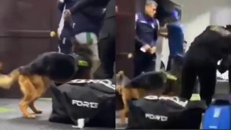 Los canes antidroga, en el vestuario de Palmaflor. CAPTURA DE VIDEO