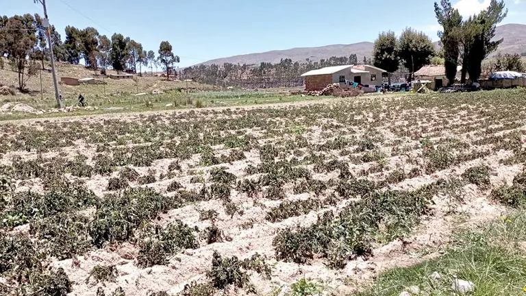 Imagen referencial de sequía en el Cono Sur./ PAG