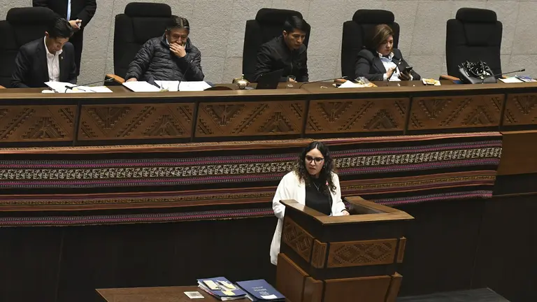Interpelaci&oacute;n a la ministra de Salud, Mar&iacute;a Renee Castro, este mi&eacute;rcoles./ APG