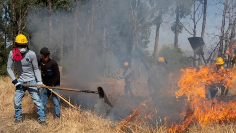 Primera Brigada de 50 Bomberos Forestales Comunitarios capacitados para salvaguardar el parque Nacional Tunari. RODRIGO SORIA