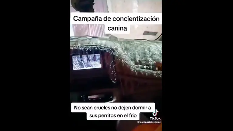 Captura de un video en la red social de TikTok. 
