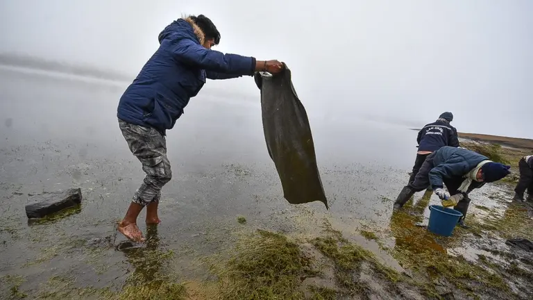 Fernando Alanoca, el chofer que derram&oacute; aceite vegetal en Corani, ayuda en la limpieza de la laguna. DICO SOL&Iacute;S