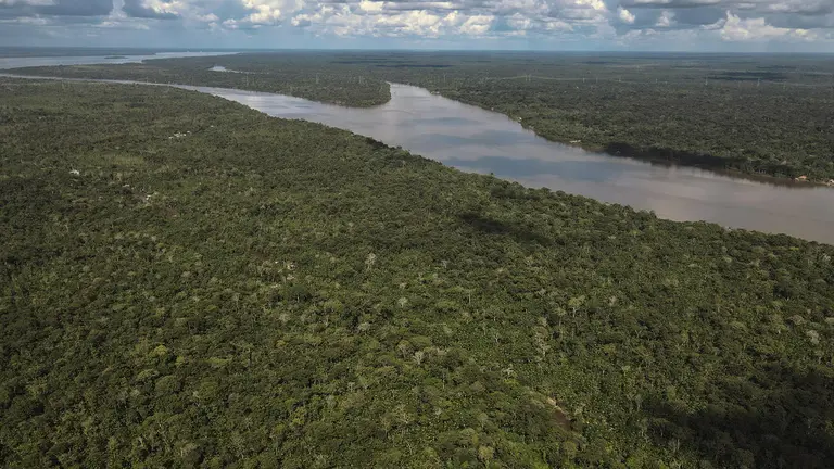 Fotograf&iacute;a de archivo fechada el 4 de abril de 2023 que muestra una vista a&eacute;rea de una zona de la Floresta Amaz&oacute;nica, en el estado de Par&aacute; (Brasil)./ EFE